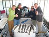 (04/10/2015) - Nice Striped Bass